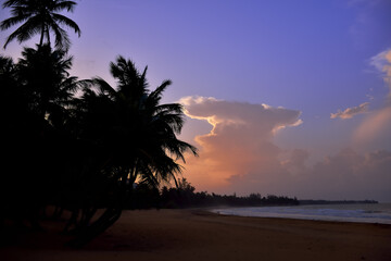 sunset on an empty deserted beach in Puerto Rico with silhouettes of the palm trees on the beach