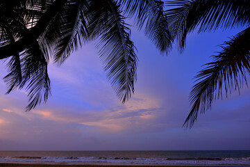 evening sky and clouds through palm fronds on an empty beach in Puerto Rico