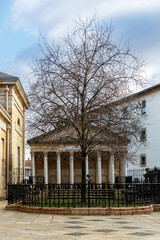 Fototapeta premium The new tree of Gernika in Spain.Winter view of Oak tree symbolizes traditional freedoms for the Biscayan people, and by extension for the Basque people as a whole.