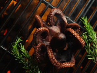 Seafood cooking. Octopus is fried on a grill, open fire with rosemary sprigs. Sea delicacies, gourmet food. Recipes for restaurant and home cooking. Banquet, picnic, hotel, restaurant.