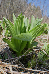 Canot Eastman 7 Mai 2022