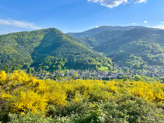 Aerial view of Lautenbach, its green forest and mountains, with yellow flowers, on a sunny day