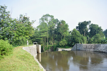 Fototapeta premium castle on the river