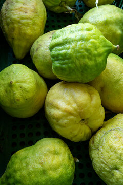 Cider or cidra in portuguese is a citrus fruit