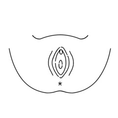 膣　女性生殖器のイラスト