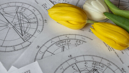 Printed astrology charts with planets in Aries; yellow tulips in the background
