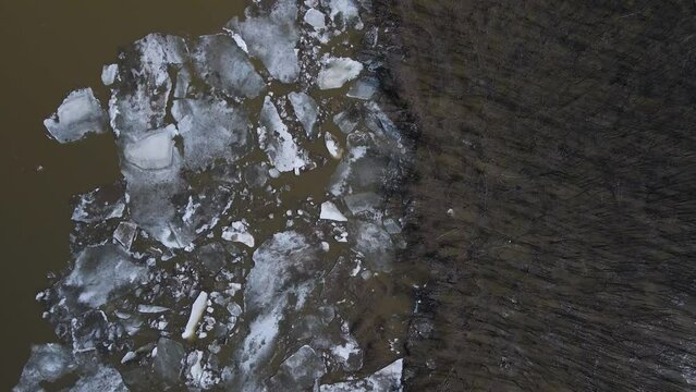 Ice Drift Occurs on River next to the Island with Forest , Aerial view, camera down