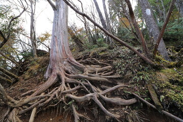 秋の埼玉県秩父の両神山の登山