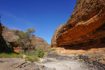 Fototapeta na wymiar Trail past the overhanging sandstone mounds with the incredible blue sky. Bungle Bungles Western Australia.