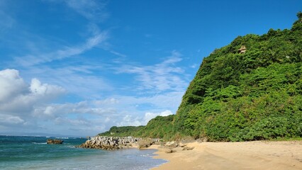 Fototapeta premium 海辺のビーチと山