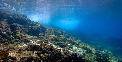 Underwater landscape in rays of sunlight
