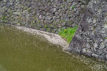 New Transit Yurikamome is an automated guideway transit service running under Rainbow bridge in Tokyo bay