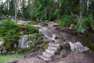stone path. beautiful forest and fresh air. sandy path. walk along the trail through the forest