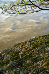 tree branch in closeup over water wave, long exposure.