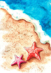 two sea ​​stars on the beach. collection of cards with shells and molluscs - obrazy, fototapety, plakaty
