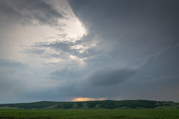 Obraz premium Green grass, field and forest at sunset.