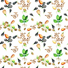 Watercolor seeds, seedlings, gardening seamless pattern. Hand drawn agriculture botanical background. Repeatable texture, wrapping paper, stationery, wallpaper, fabric, paper, textile