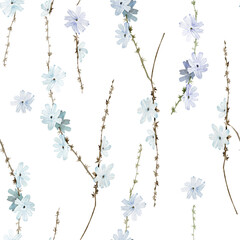 Watercolor blue chicory flowers floral seamless pattern. Hand drawn elegant, delicate botanical background. Repeatable texture, wrapping paper, stationery, wallpaper,  fabric, paper, textile