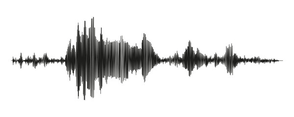 Seismograph measurement or lie detector graph. Seismic measurements with data record. Vector illustration isolated in white background