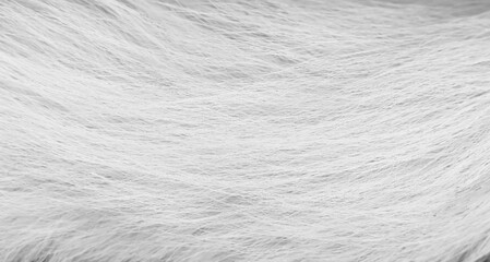 Furry dog surface soft smooth patterns , animal hair white grey background