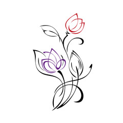 ornament 2307. two stylized decorative flowers on stems with leaves and curls in colored lines. graphic design
