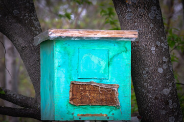 House trap for wild bees in the forest.