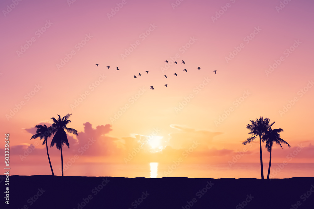 Wall mural silhouette palm tree at tropical beach with birds flying on sunset sky abstract background. nature e