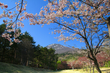 天鏡台の桜（福島県・猪苗代町）