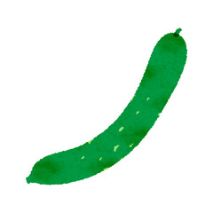 アナログ風のキュウリのイラスト
