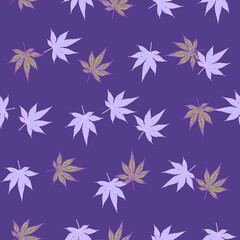 Leaves maple canadian engraved seamless pattern. Vintage background botanical leaf cannabis in hand drawn style.