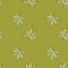 Leaves maple canadian engraved seamless pattern. Vintage background botanical leaf cannabis in hand drawn style.