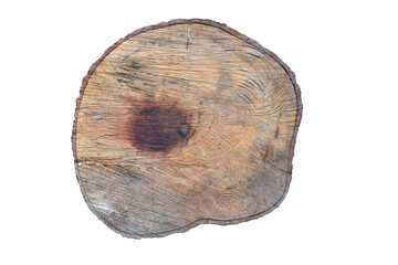 cut of wood