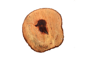 coconut on white background