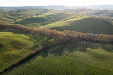 Obraz premium Tuscany hill landscape. Waves hills, rolling hills, minimalistic landscape with green fields in the Tuscany. Val D'orcia in the province of Siena, Italy Beautiful sunny day.