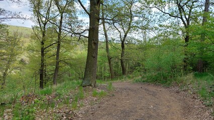 Aussichtsturm Lerchenhügel CZ Rozhledna na Slavicim vrchu