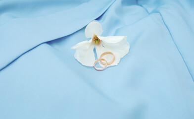 Fototapeta na wymiar Wedding rings on a blue background. White magnolia flower