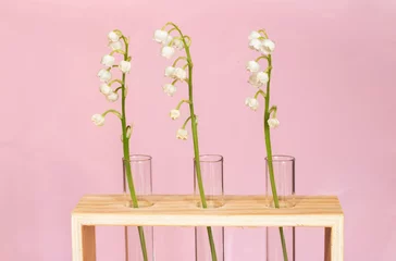 Fotobehang 試験官の形の花器に入った三本のスズラン　ピンクバック © amip-
