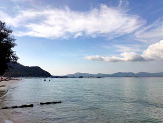 Beautiful Tree and see view in Phuket, Thailand.