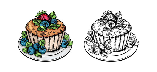  сupcake with berries on plates vector sketches. blueberry cupcakes vector hand drawing coloring books. cupcakes dessert vector doodles on white background