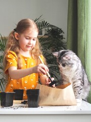 Little toddler girl planting seeds in the pots with cat. Love of pets. Funny and curious pets. Home gardening, transplanting plants, seedlings