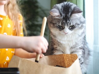 Little toddler girl planting seeds in the pots with cat. Love of pets. Funny and curious pets. Home gardening, transplanting plants, seedlings