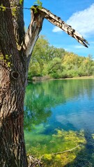 Fototapeta na wymiar green lake