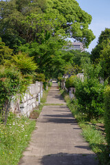 東京港区南青山2丁目の風景
