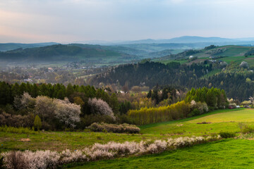 Fototapeta na wymiar Polish Countryside at Spring. Colorful Lush Trees and Pasture