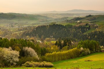 Rural Landscape at Spring Sunrise in Poland