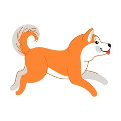 Cute Akita Inu running merrily, puppy character. Vector illustration of Japanese breed of dog. Cartoon kawaii isolated on white. Pet, friend