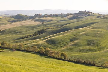 Tuscany hill landscape. Waves hills, rolling hills, minimalistic landscape with green fields in the Tuscany. Val D'orcia in the province of Siena, Italy
Beautiful sunny day.