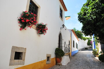 White wall houses with fully bloomed pink bougainvillea, in Obidos, Historic province of Portugal,...
