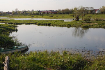 Green banks of Bug river in a beautiful rural countryside in Mazovia district of Poland, Europe