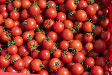 Fresh red tomato fruits background.